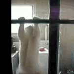 ios微信表情动态1 ios微信表情动态1