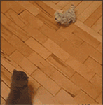 国庆节祝福图片及表情包8 国庆节祝福图片及表情包8