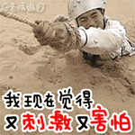 电脑壁纸暴走表情包14