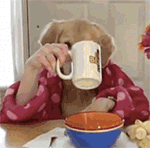 活捉一只小仙女表情图3 活捉一只小仙女表情图3