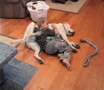 滑稽的表情长什么样4