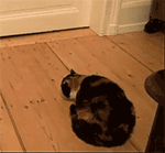 希望人没事的梗11 希望人没事的梗11