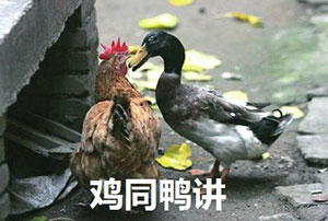 精选8组动态的微信表情10 精选8组动态的微信表情10