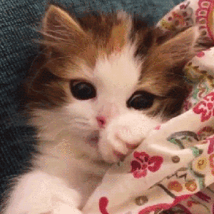 原神表情怎么加12