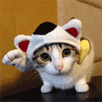 下载早晚问候表情1