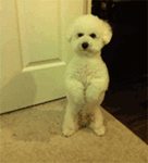 手绘逗比表情图片7 手绘逗比表情图片7