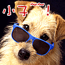 8张轻轻的表情包6 8张轻轻的表情包6