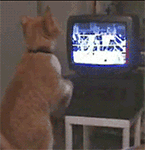 赵四wink7 赵四wink7