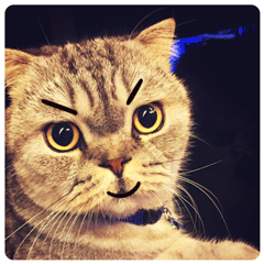 2023年元旦祝福表情图11 2023年元旦祝福表情图11