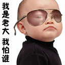 微信3d猪表情2 微信3d猪表情2