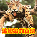 微信调皮表情代表什么意思图片2 微信调皮表情代表什么意思图片2