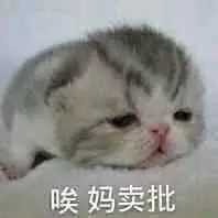 回祝福表情包12 回祝福表情包12