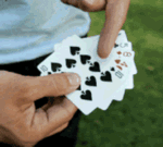 在猪群中一眼认出你表情包2 在猪群中一眼认出你表情包2