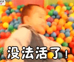 胖子的爱情表情包2