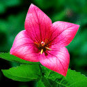 下雨天的表情包 微信13