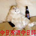 女生吐舌头表情包7