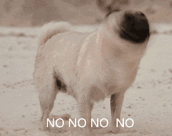 微信表情包全集9