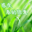 斗鱼智勋经典语录表情包14 斗鱼智勋经典语录表情包14