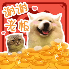 可爱表情包模板6