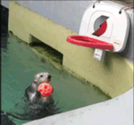 精选8组思索的斗图表情包15