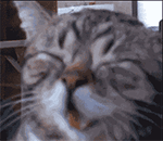 2023比喻文字的个性表情14 2023比喻文字的个性表情14