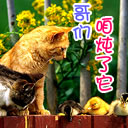 动漫喝咖喱表情包出处7