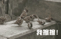 过年祝福语带图案5 过年祝福语带图案5