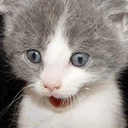 权力的游戏龙母海报3 权力的游戏龙母海报3