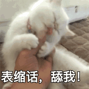 拉屎搞笑表情6 拉屎搞笑表情6
