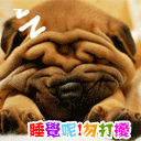 亲爱的你生气了吗的表情包12