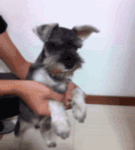 山上表情包15 山上表情包15