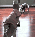 暴走表情包wu4 暴走表情包wu4