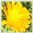 任嘉伦生气表情4