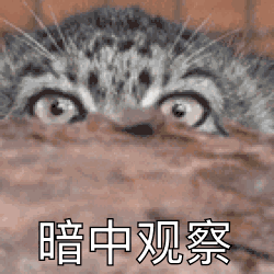 精选8组包文化的可爱表情8