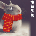 调皮捣蛋的表情在哪里4