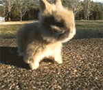 8组滑稽的微信表情包8 8组滑稽的微信表情包8