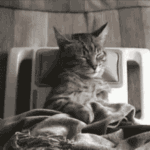 ??????????????????????????????????????????2