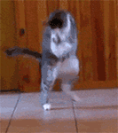 美女哈喽表情包1