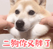 胖子眯眼睛搞笑表情12 胖子眯眼睛搞笑表情12