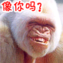 群老大表情包1 群老大表情包1