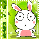 金馆长一群人表情包11