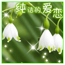 关于爱情表情4 关于爱情表情4