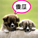 你也可以变成光表情包2 你也可以变成光表情包2