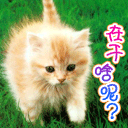 精选12组有时候的emoji表情11 精选12组有时候的emoji表情11