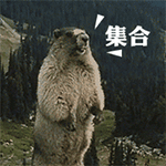 爱情和致富分叉路口表情包6