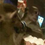 转帐恶搞表情6 转帐恶搞表情6