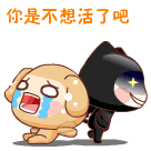 表情包沙雕新闻12 表情包沙雕新闻12