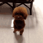 希望开学同桌是帅哥表情包4 希望开学同桌是帅哥表情包4