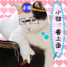 三大表情张学友4 三大表情张学友4