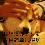 吃东西的可爱女生表情包4 吃东西的可爱女生表情包4